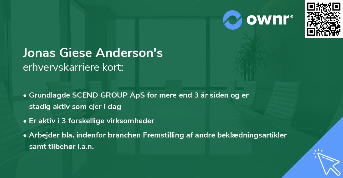 Jonas Giese Anderson's erhvervskarriere kort