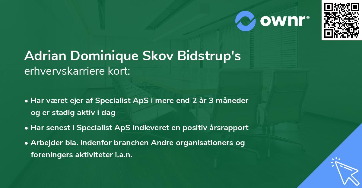 Adrian Dominique Skov Bidstrup's erhvervskarriere kort