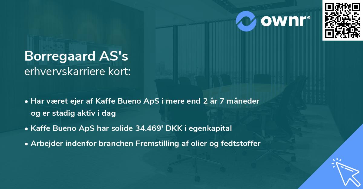 Borregaard AS's erhvervskarriere kort