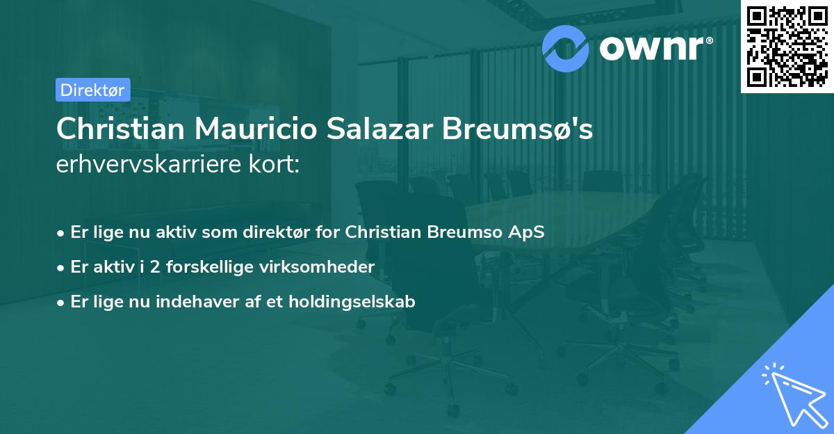 Christian Mauricio Salazar Breumsø's erhvervskarriere kort