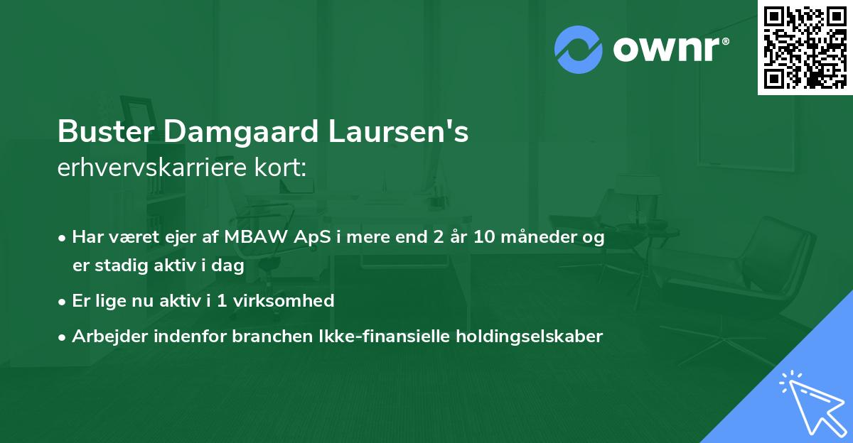 Buster Damgaard Laursen's erhvervskarriere kort