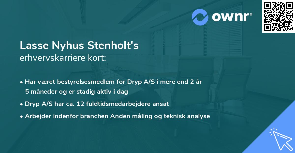 Lasse Nyhus Stenholt's erhvervskarriere kort