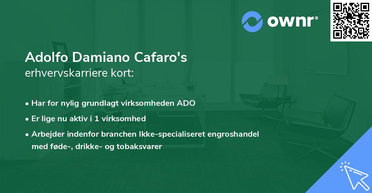 Adolfo Damiano Cafaro's erhvervskarriere kort