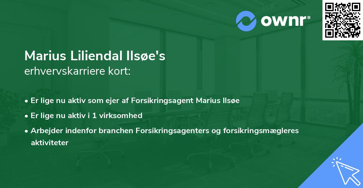 Marius Liliendal Ilsøe's erhvervskarriere kort
