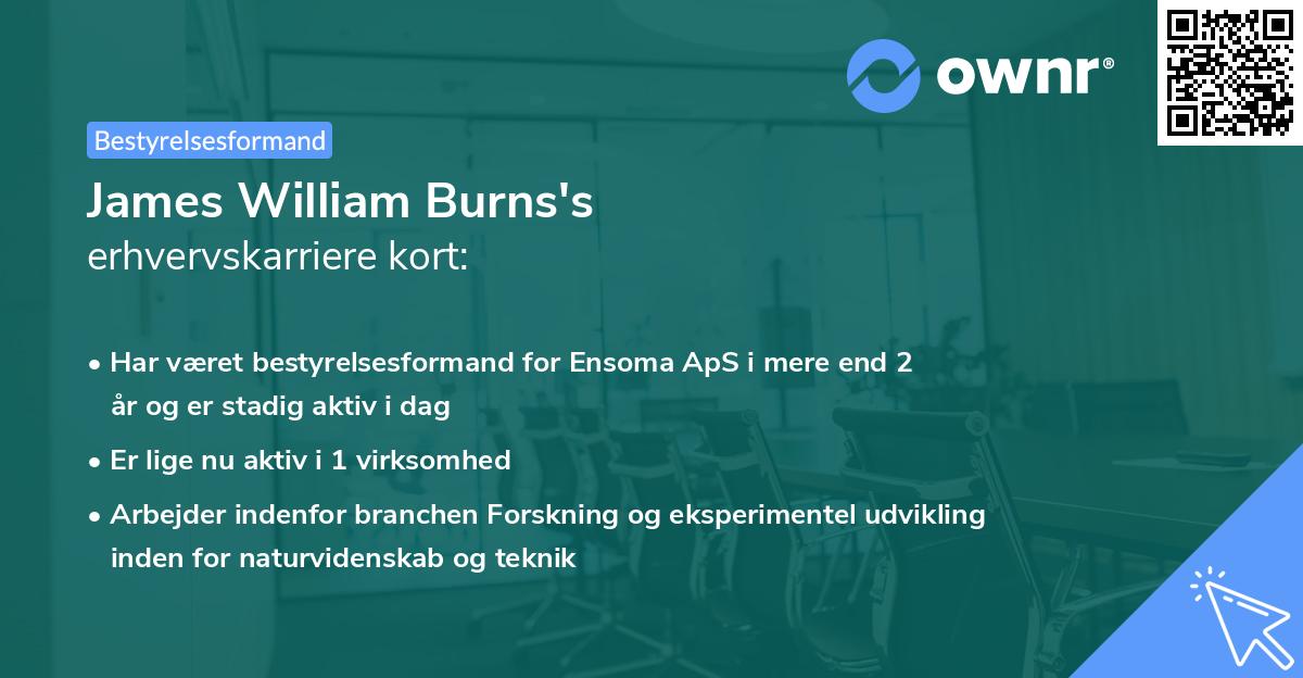 James William Burns's erhvervskarriere kort