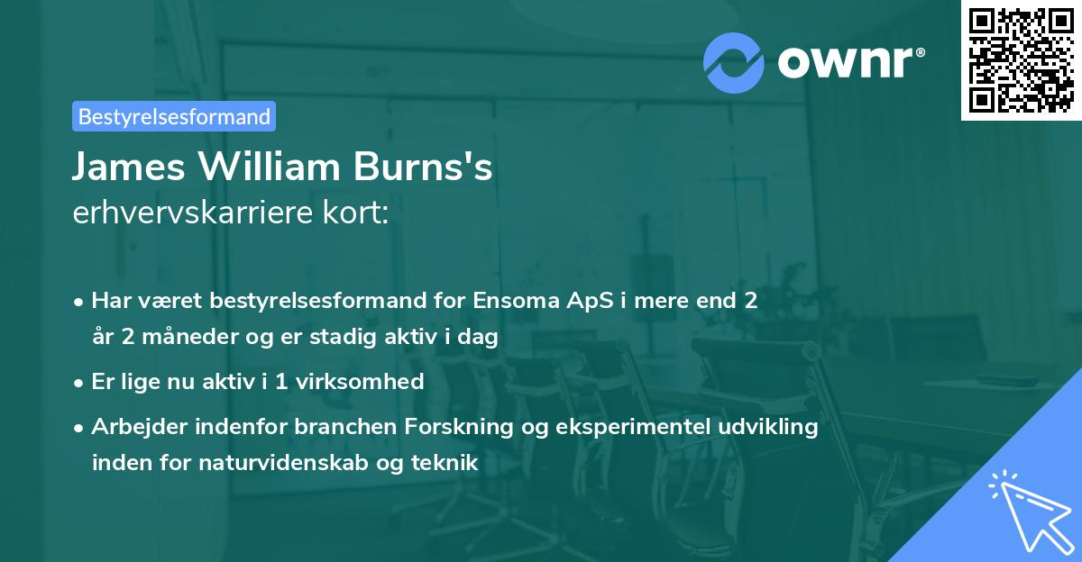 James William Burns's erhvervskarriere kort