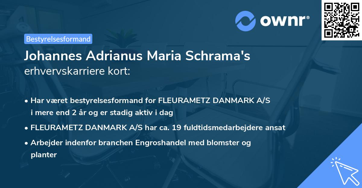 Johannes Adrianus Maria Schrama's erhvervskarriere kort