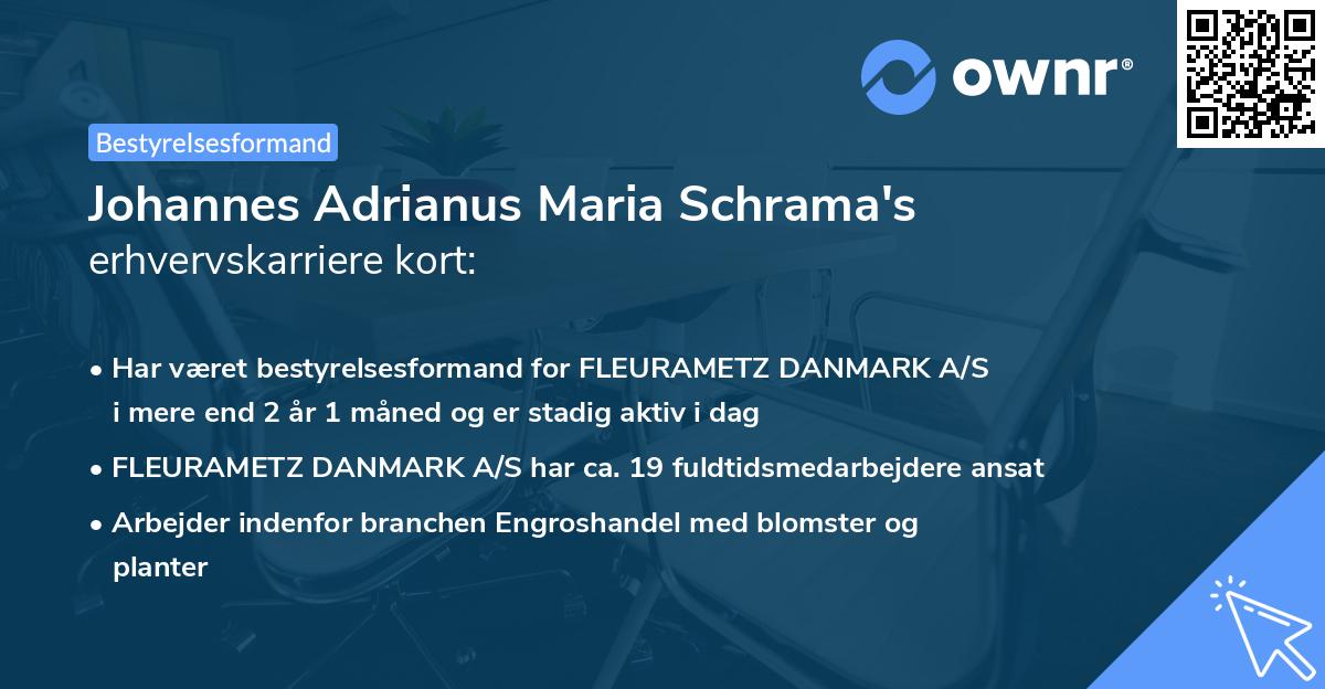 Johannes Adrianus Maria Schrama's erhvervskarriere kort