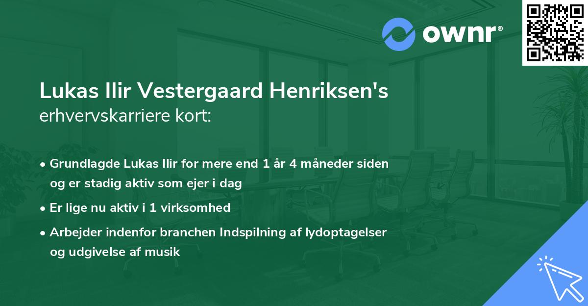 Lukas Ilir Vestergaard Henriksen's erhvervskarriere kort