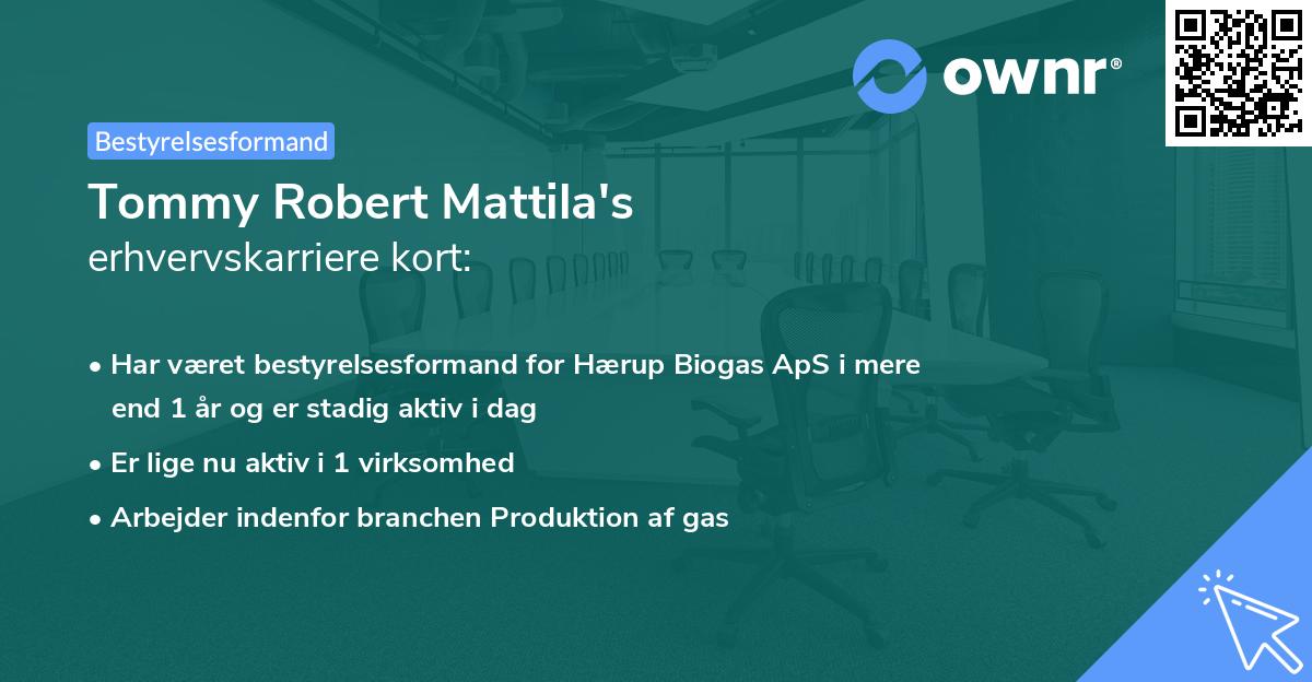 Tommy Robert Mattila's erhvervskarriere kort