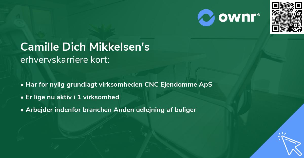 Camille Dich Mikkelsen's erhvervskarriere kort