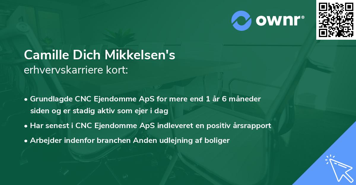 Camille Dich Mikkelsen's erhvervskarriere kort