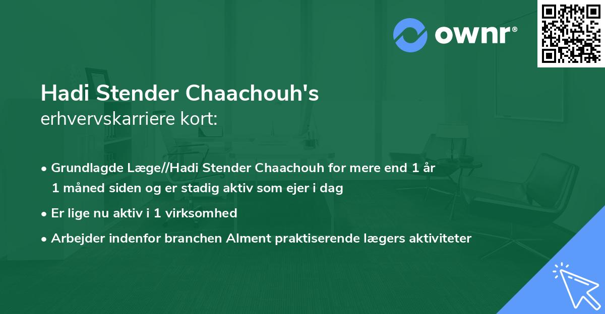 Hadi Stender Chaachouh's erhvervskarriere kort