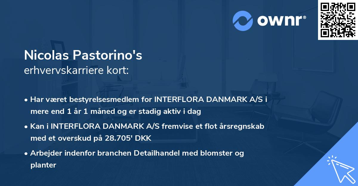 Nicolas Pastorino's erhvervskarriere kort