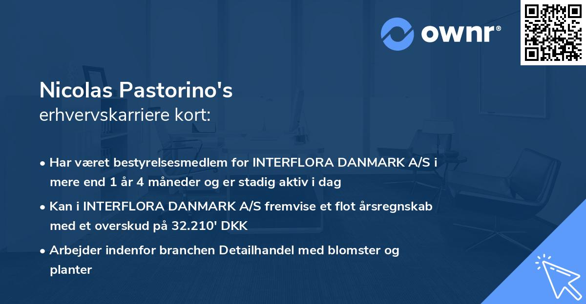 Nicolas Pastorino's erhvervskarriere kort