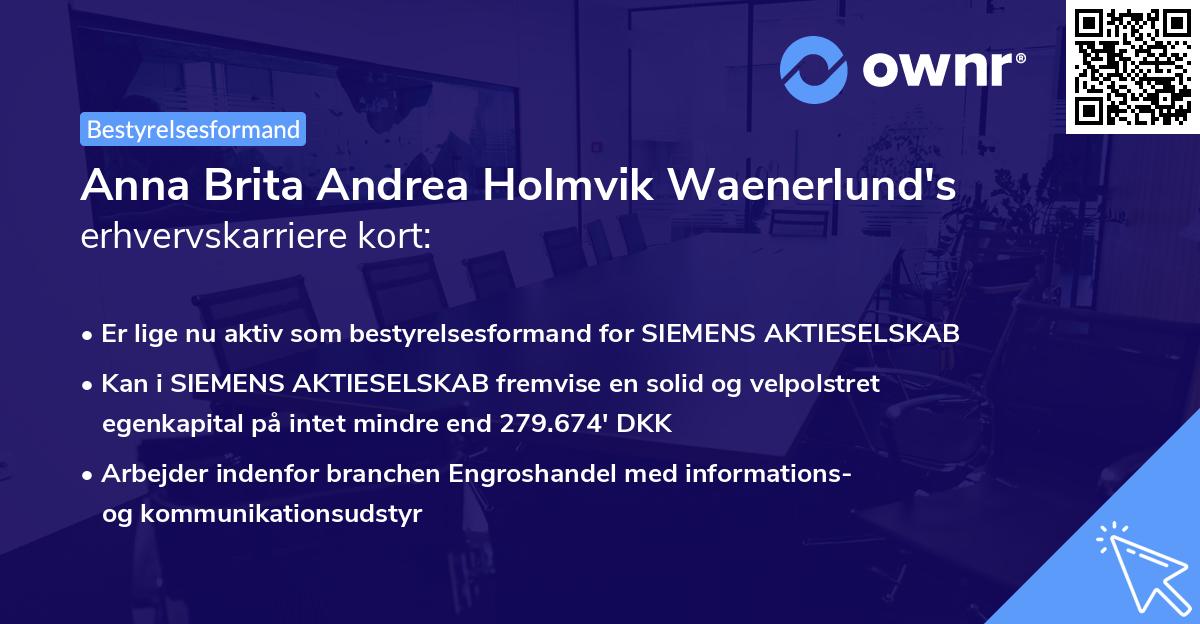 Anna Brita Andrea Holmvik Waenerlund's erhvervskarriere kort