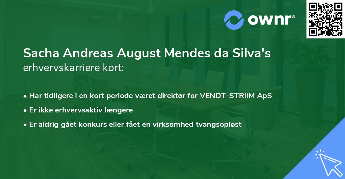 Sacha Andreas August Mendes da Silva's erhvervskarriere kort