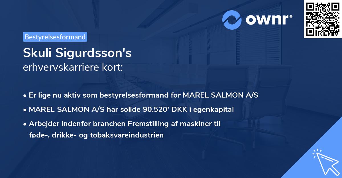 Skuli Sigurdsson's erhvervskarriere kort