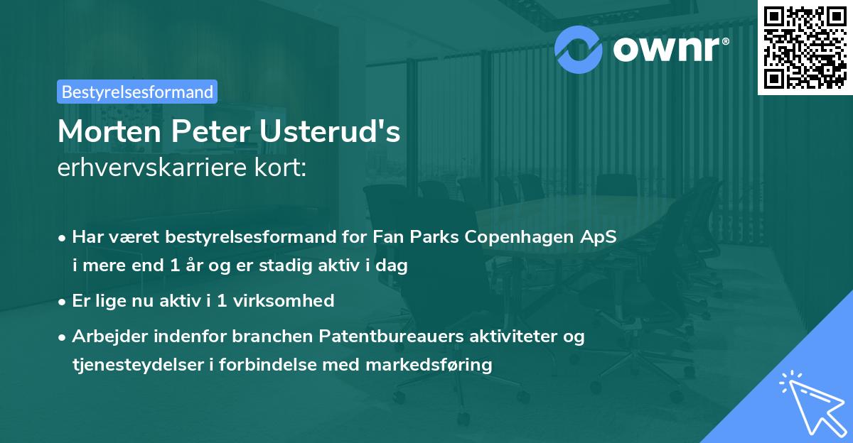 Morten Peter Usterud's erhvervskarriere kort