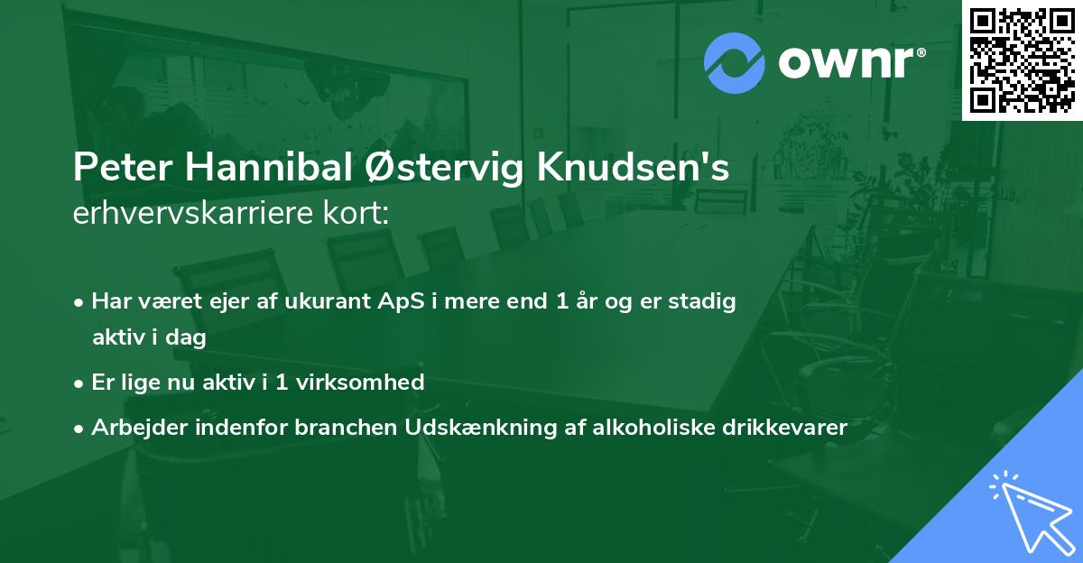 Peter Hannibal Østervig Knudsen's erhvervskarriere kort