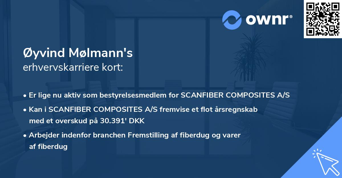 Øyvind Mølmann's erhvervskarriere kort