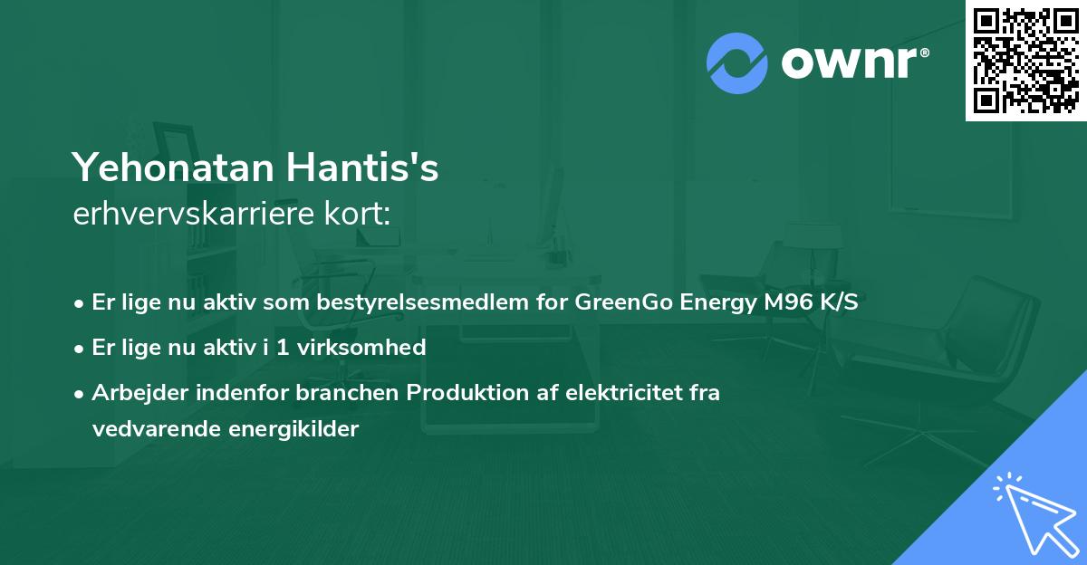 Yehonatan Hantis's erhvervskarriere kort