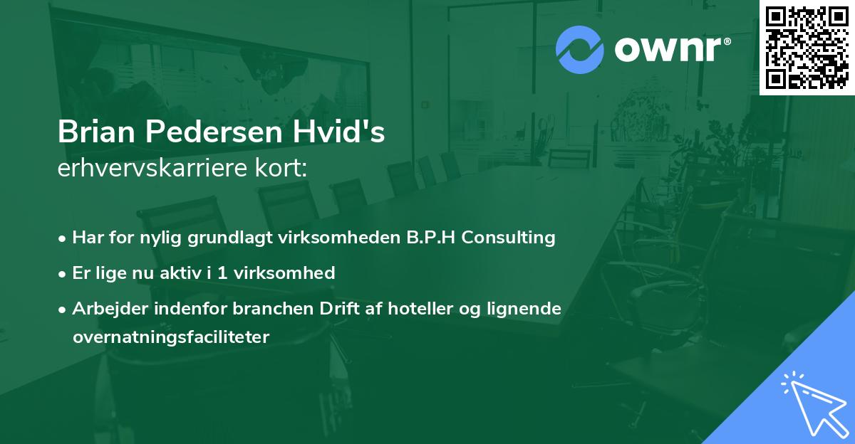Brian Pedersen Hvid's erhvervskarriere kort