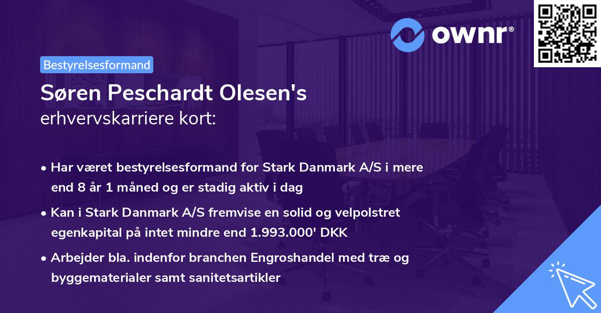 Søren Peschardt Olesen's erhvervskarriere kort