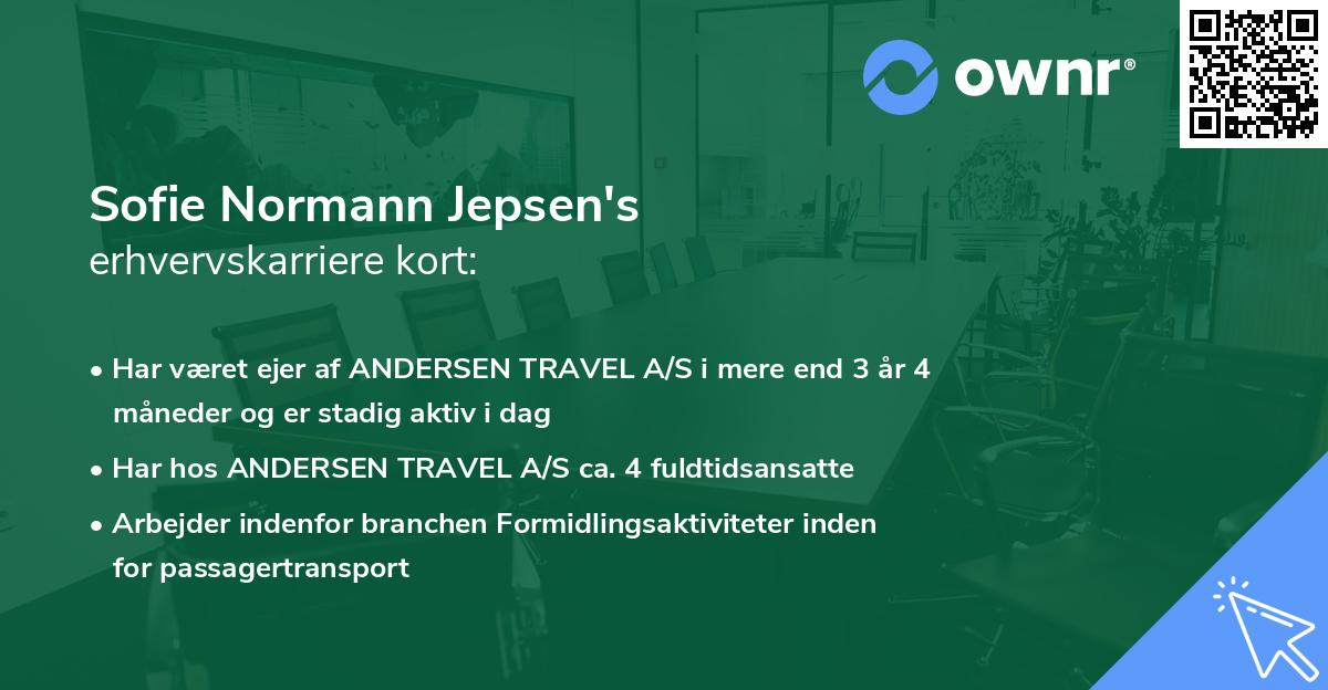 Sofie Normann Jepsen's erhvervskarriere kort