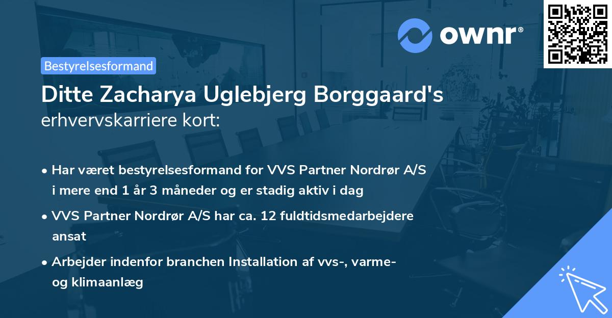 Ditte Zacharya Uglebjerg Borggaard's erhvervskarriere kort