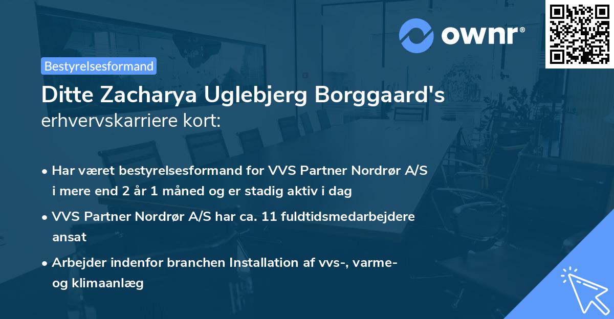 Ditte Zacharya Uglebjerg Borggaard's erhvervskarriere kort