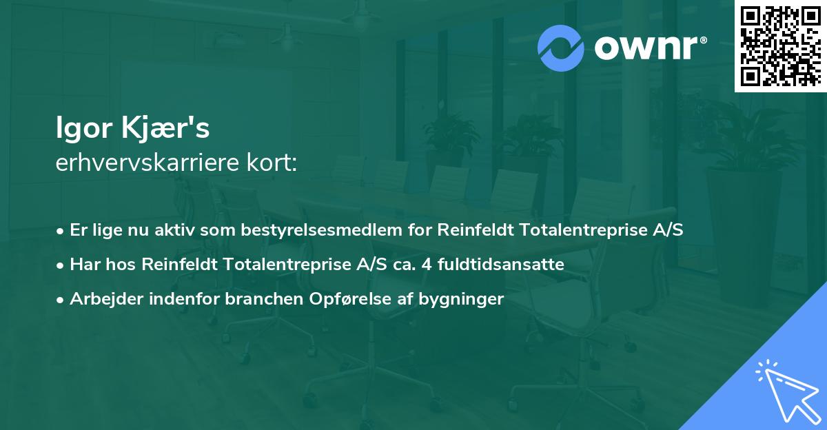 Igor Kjær's erhvervskarriere kort