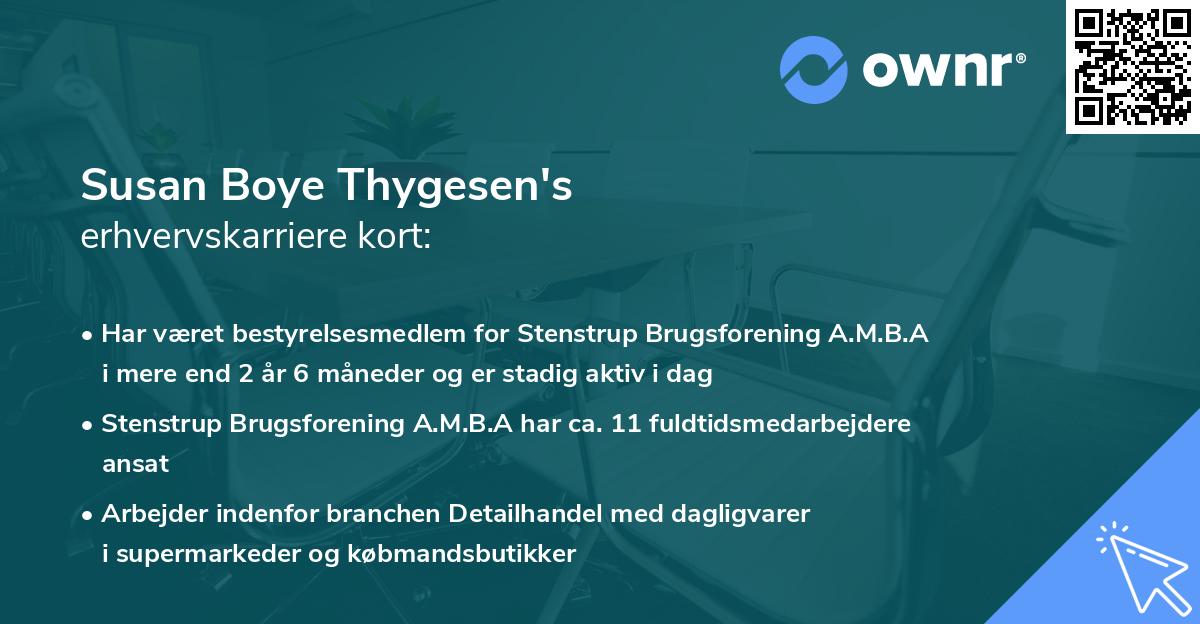 Susan Boye Thygesen's erhvervskarriere kort