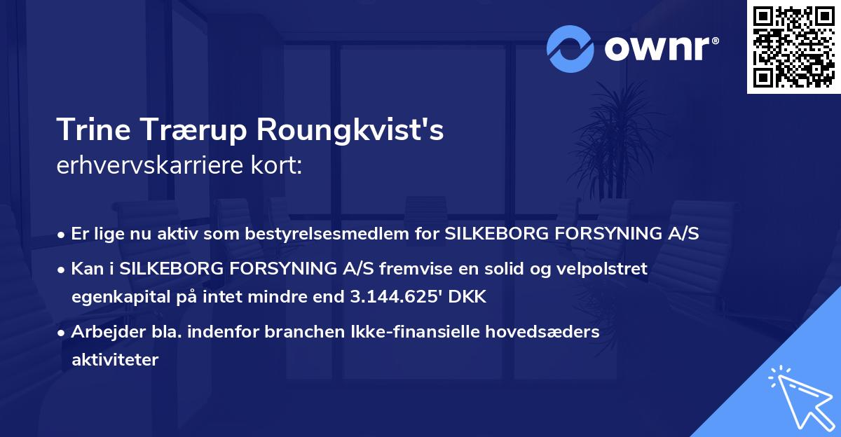 Trine Trærup Roungkvist's erhvervskarriere kort