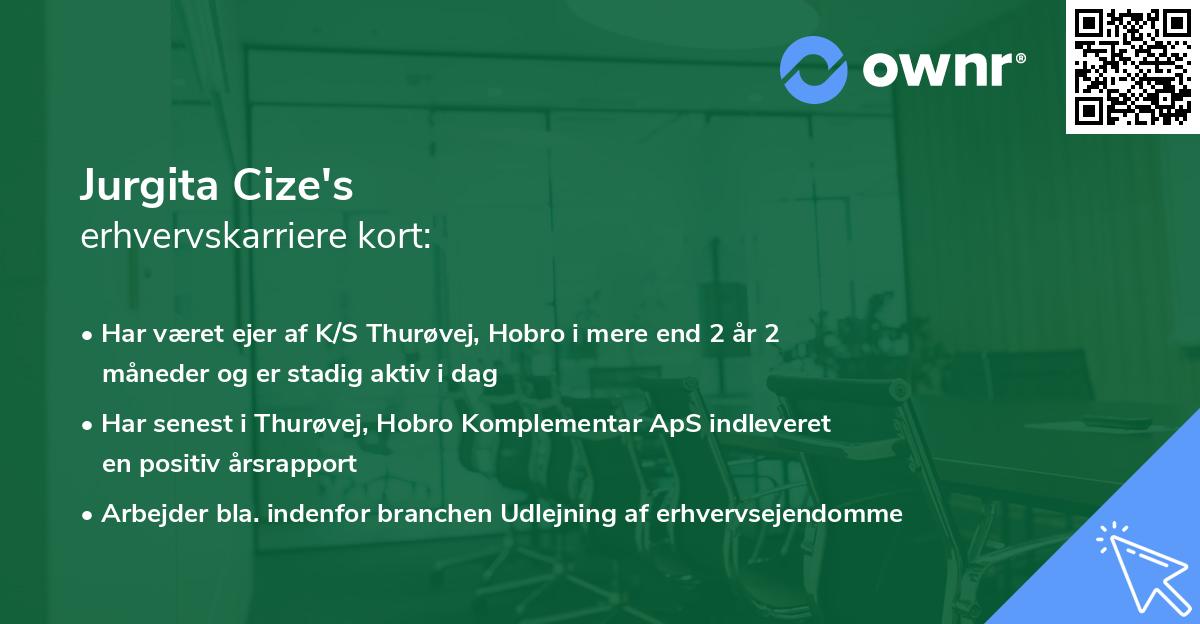 Jurgita Cize's erhvervskarriere kort