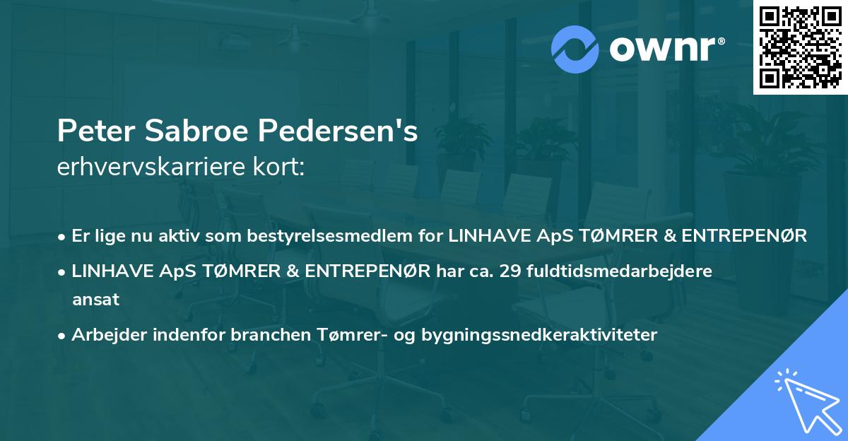 Peter Sabroe Pedersen's erhvervskarriere kort