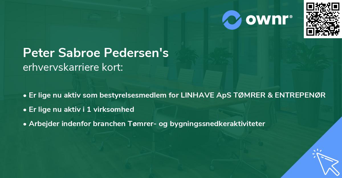 Peter Sabroe Pedersen's erhvervskarriere kort