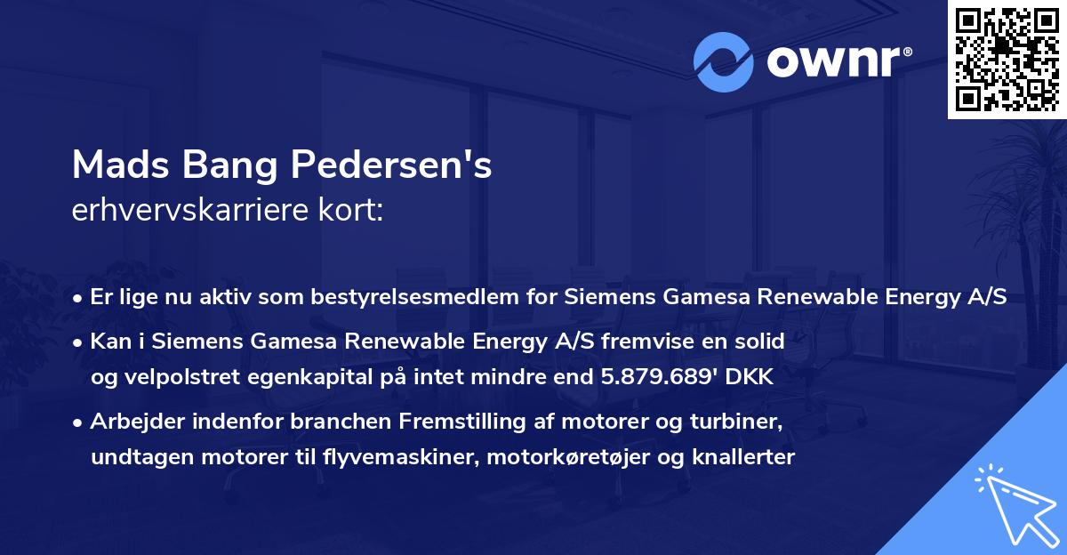 Mads Bang Pedersen's erhvervskarriere kort