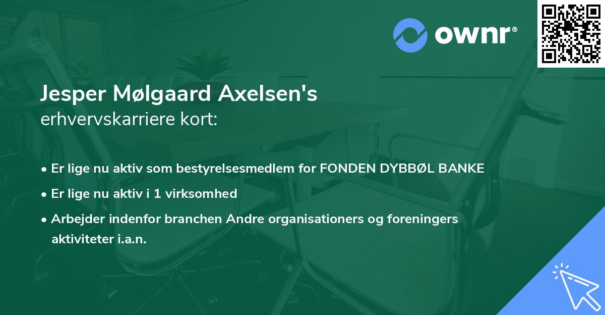 Jesper Mølgaard Axelsen's erhvervskarriere kort