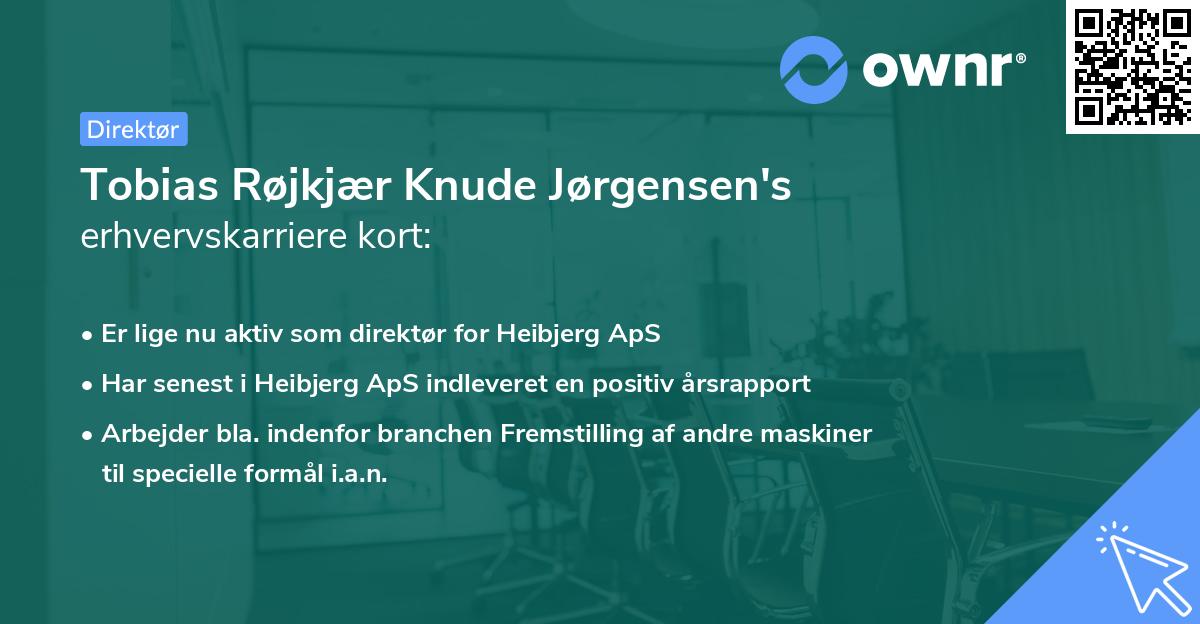 Tobias Røjkjær Knude Jørgensen's erhvervskarriere kort