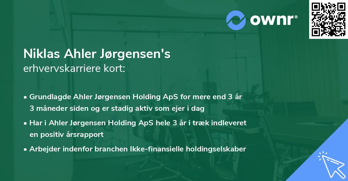 Niklas Ahler Jørgensen's erhvervskarriere kort