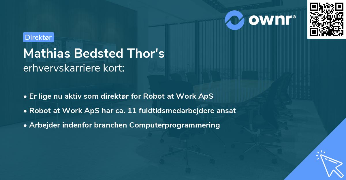 Mathias Bedsted Thor's erhvervskarriere kort