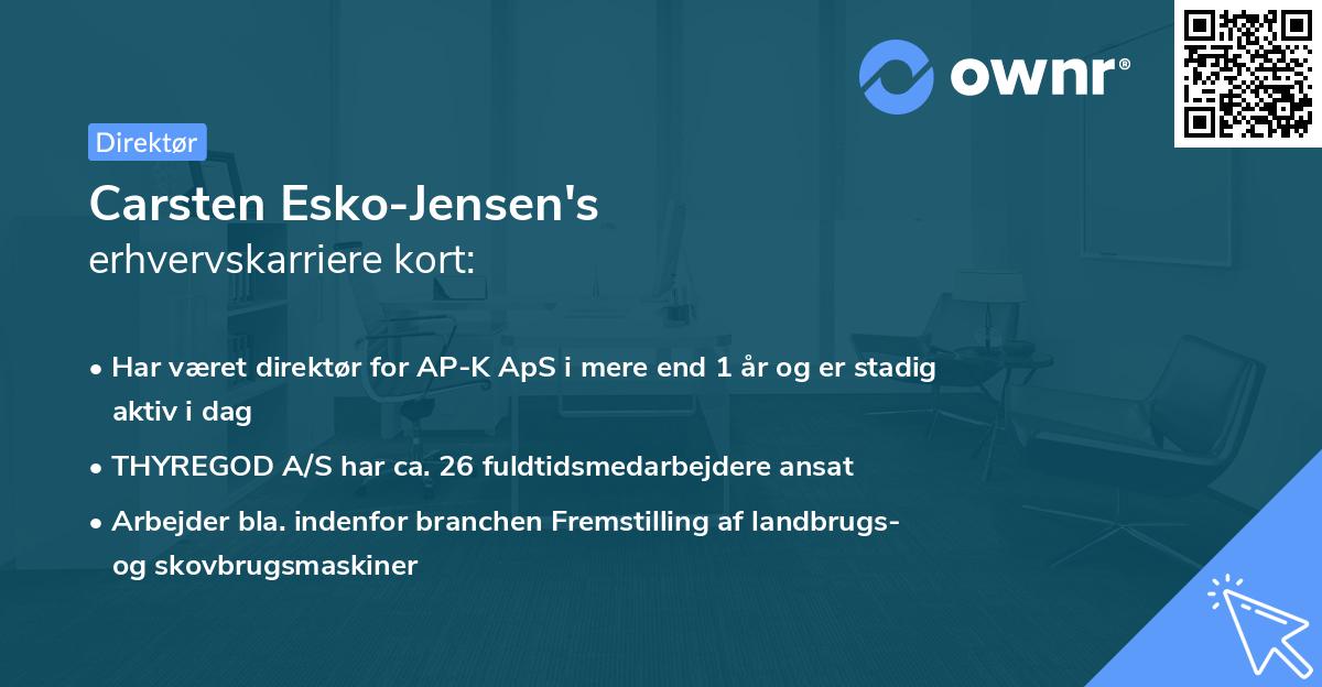 Carsten Esko-Jensen's erhvervskarriere kort