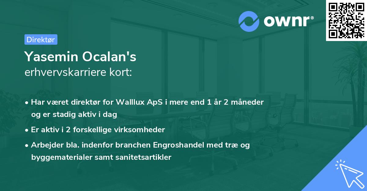 Yasemin Ocalan's erhvervskarriere kort