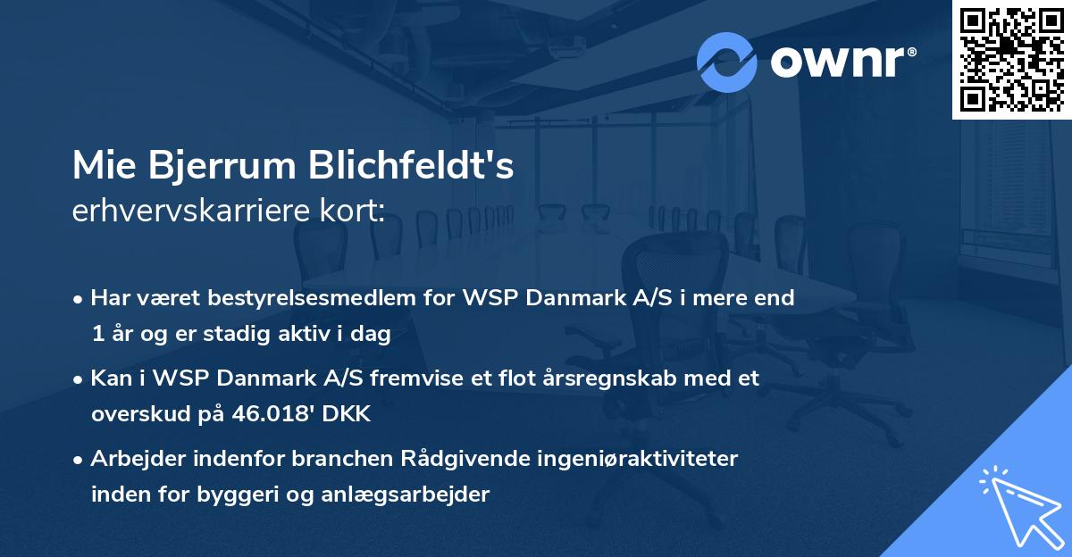 Mie Bjerrum Blichfeldt's erhvervskarriere kort