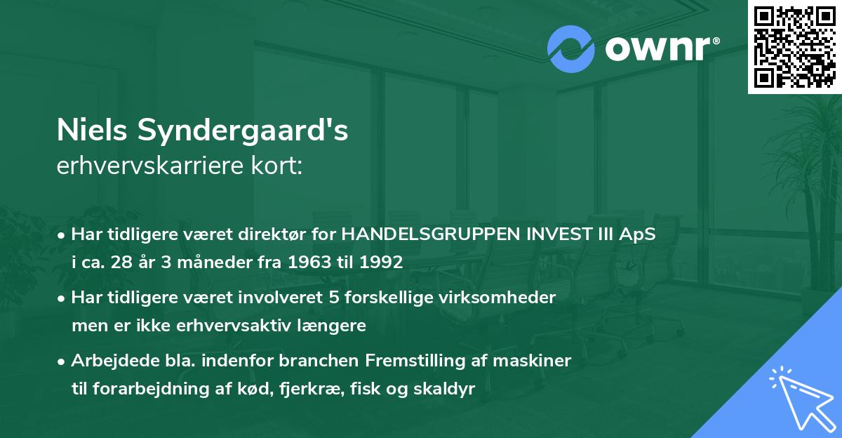 Niels Syndergaard's erhvervskarriere kort