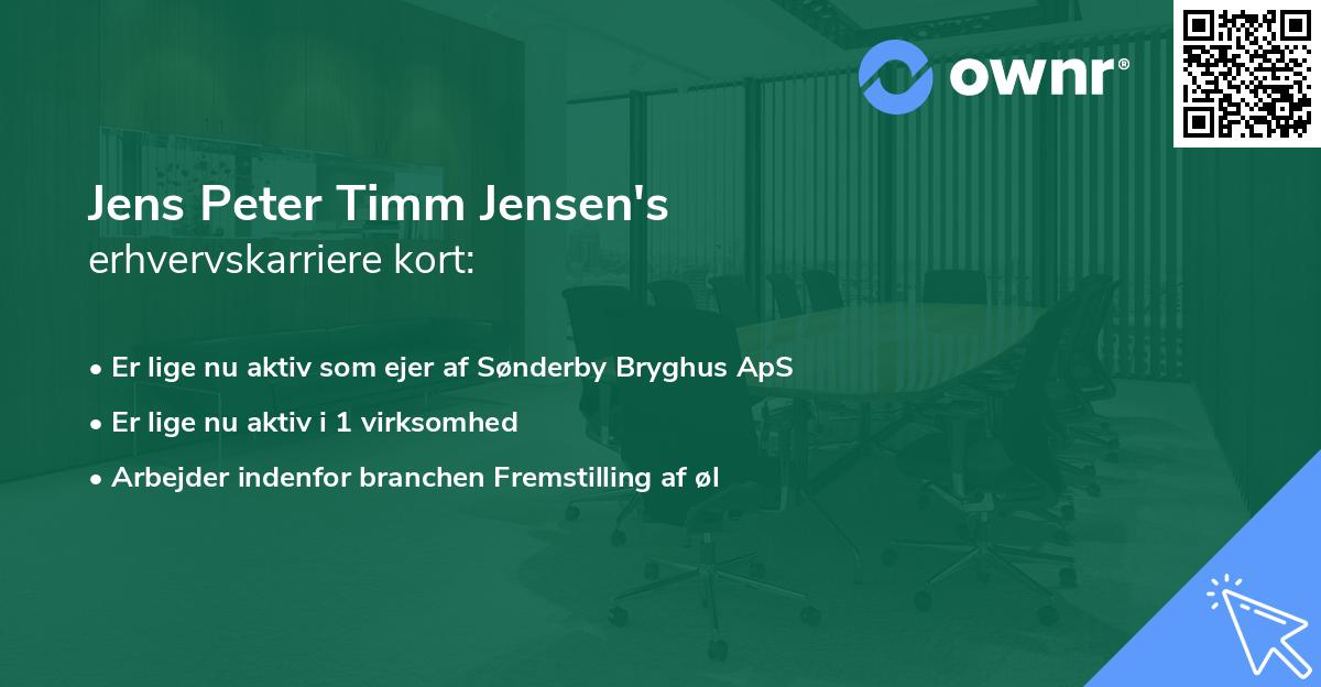 Jens Peter Timm Jensen's erhvervskarriere kort