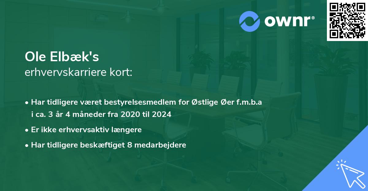 Ole Elbæk's erhvervskarriere kort