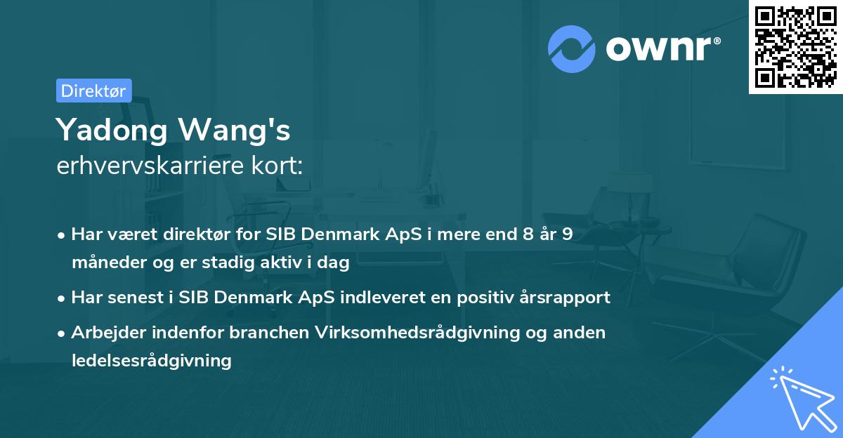 Yadong Wang's erhvervskarriere kort