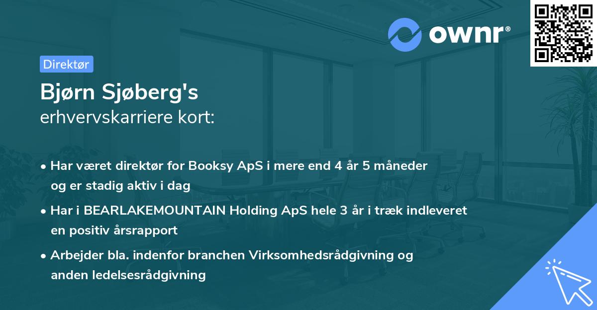 Bjørn Sjøberg's erhvervskarriere kort